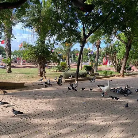 Close To Shops And Restaurants *